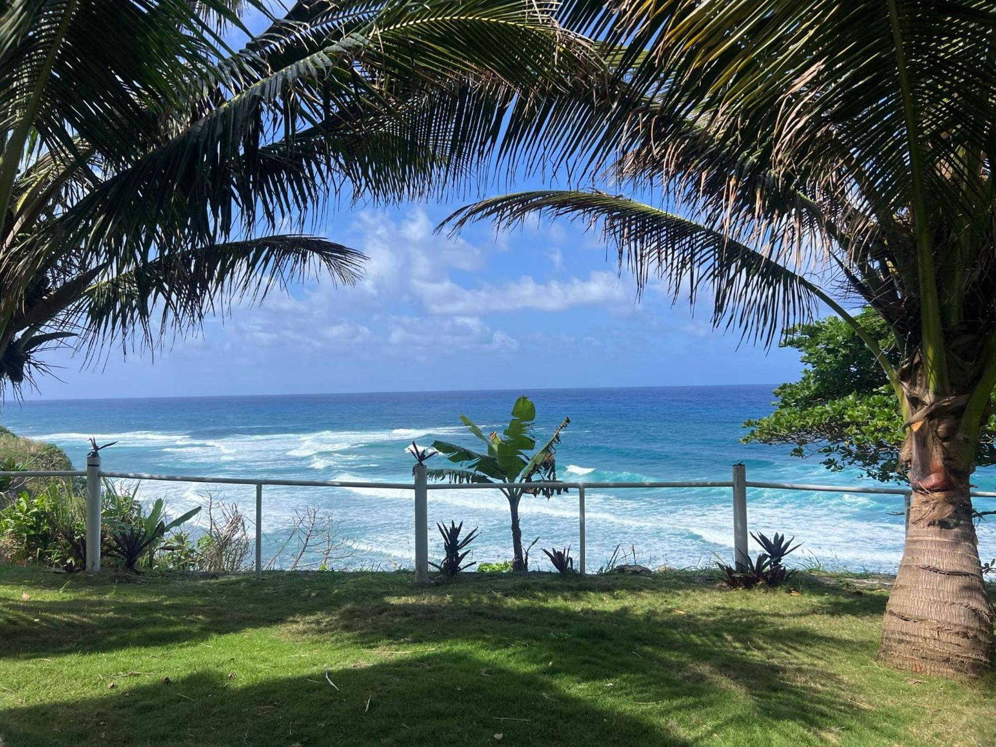 פורט אנטוניו The Sea Cliff Hotel Resort & Spa מראה חיצוני תמונה